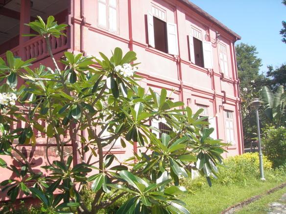PA230230.jpg